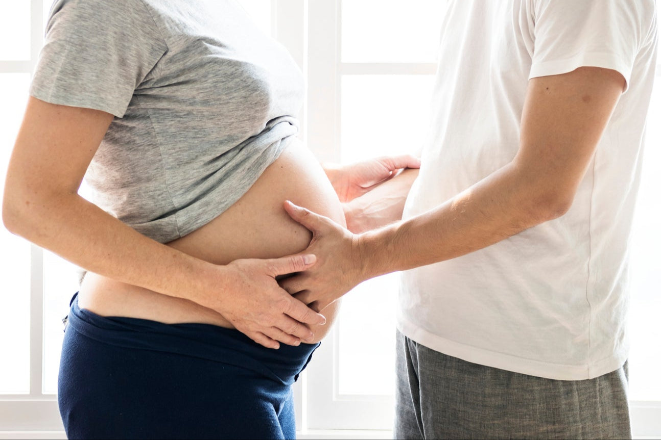 Fertility Foundations: Reproductive Anatomy & Physiology